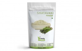 Holy Natural Shatavari Powder   Pack  200 grams
